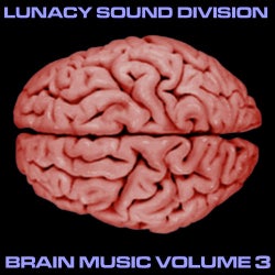 Brain Music Volume 3