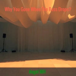 Why You Gone When The Bass Drops?