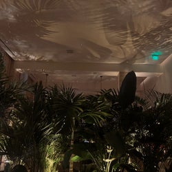 After Dark