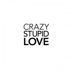 Crazy Stupid Love Marcel Kassow