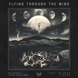 Flying Through The Mind