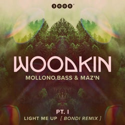 Light Me Up (Bondi Remix)