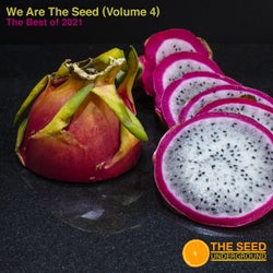 We are the Seed Volume 4 The Best of 2021