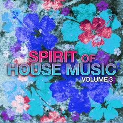Spirit Of House Music Volume 3