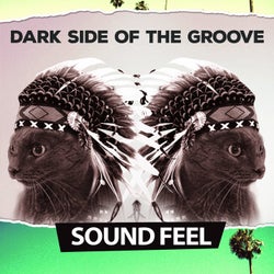 Dark Side of the Groove