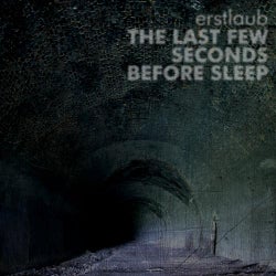 The Last Few Seconds Before Sleep