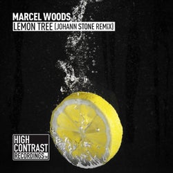 Lemon Tree (Johann Stone Remix)
