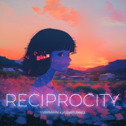Reciprocity