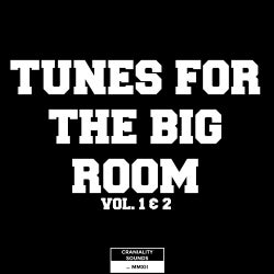 TUNES FOR THE BIG ROOM (VOL. 1 & 2)