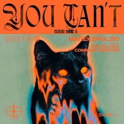 You Can't See Me EP