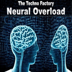 Neural Overload