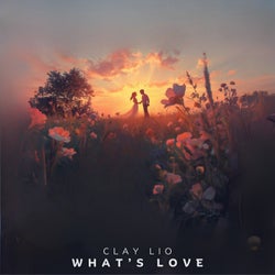What's Love