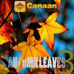 Autumn Leaves Volume 03