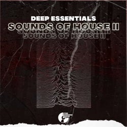 Sounds of House II