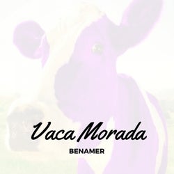 Vaca Morada