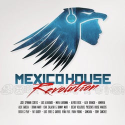 Mexico House Revolution