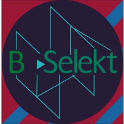 Selekt Special 02 - She´s Super Recordings