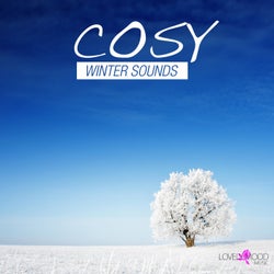 Cosy Winter Sounds