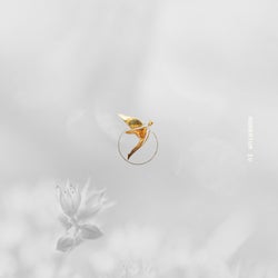Momentum IV