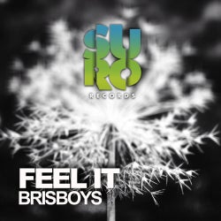 Brisboys "Feel It" Chart