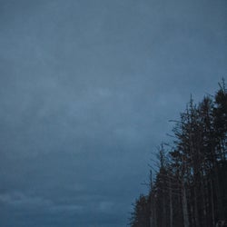 This Place, Now