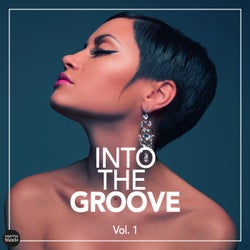 Into The Groove - Fantastic Deep House Cuts, Vol. 1