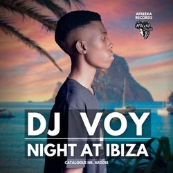 Night at Ibiza
