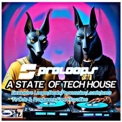 A State Of Tech House