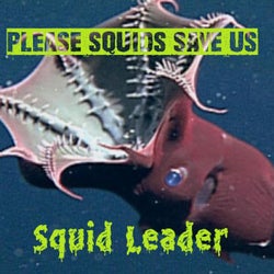 Please Squids Save Us