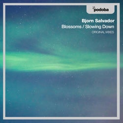 Blossom / Slowing Down