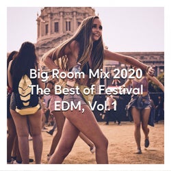 Big Room Mix 2020, the Best of Festival EDM, Vol. 1