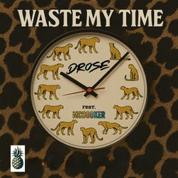 Waste My Time (feat. MCBOOKER)