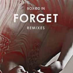 Forget - Remixes