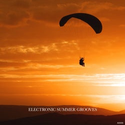 Electronic Summer Grooves