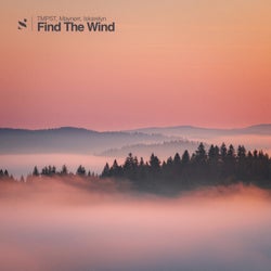 Find The Wind