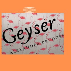 Geyser
