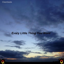 Every Little Thing You Want