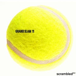 Grand Slam, Vol. 11