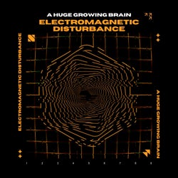 Electromagnetic Disturbance