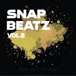 Snap Beatz, Vol. 2