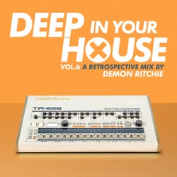 Deep in Your House - Vol 6 - Classic Hits Selected by Demon Ritchie