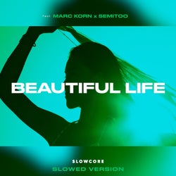 Beautiful Life (Slowed Version)