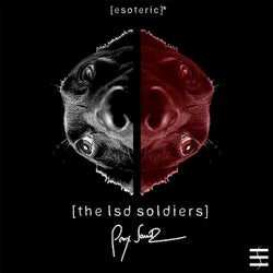 The LSD Soldiers (2021 Edit)