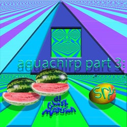 aquachirp part 3: sry