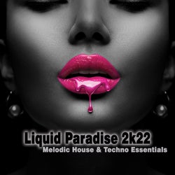 Liquid Paradise 2k22: Melodic House & Techno Essentials