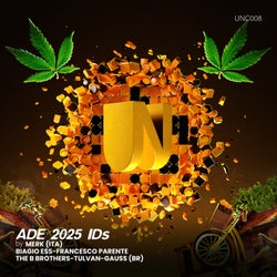 ADE 2025 IDs