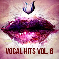Vocal Hits, Vol. 6