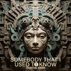 Somebody That I Used To Know