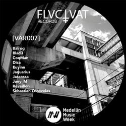 V.A. Fluctuat Records (MMW Edition)