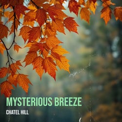Mysterious Breeze